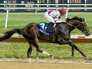 Pedigree Analysis: A Rising Sire Family Pedigree Analysis: A Rising Sire Family