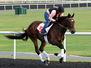 International Field Set for Dubai World Cup International Field Set for Dubai World Cup