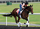 International Field Set for Dubai World Cup
