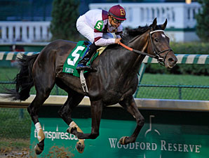 Royal Delta Cruises by 8 in Fleur de Lis Royal Delta Cruises by 8 in Fleur de Lis
