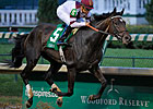 Royal Delta Cruises by 8 in Fleur de Lis Royal Delta Cruises by 8 in Fleur de Lis