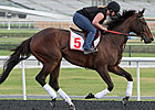 Baffert Runners Work, Royal Delta Gallops