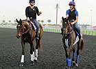 Royal Delta and Lucky Chappy Hit the Track