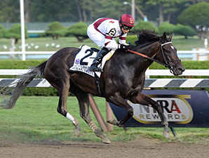 Royal Delta Sparkles in Belmont Park Breeze Royal Delta Sparkles in Belmont Park Breeze