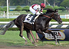 Royal Delta, 'Princess' to Tangle in Beldame Royal Delta, 'Princess' to Tangle in Beldame