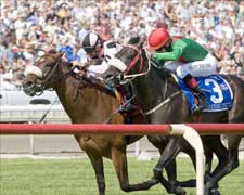 Royal Highness Hopes to Bow Out a Winner Royal Highness Hopes to Bow Out a Winner