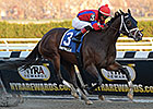 Royal Lahaina Makes Grade in Go for Wand Royal Lahaina Makes Grade in Go for Wand