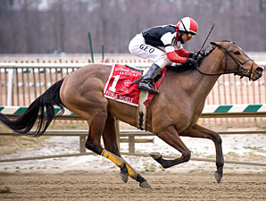 Fritchie Winner Tries Aqueduct's Distaff Fritchie Winner Tries Aqueduct's Distaff