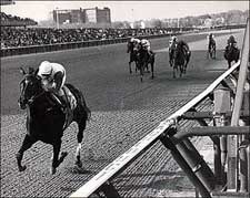 Whiteley, Vasquez Sue Disney Over Ruffian Movie Whiteley, Vasquez Sue Disney Over Ruffian Movie