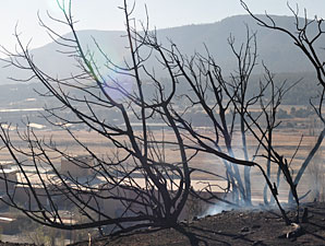 Wildfire Causes Little Damage at Ruidoso Wildfire Causes Little Damage at Ruidoso