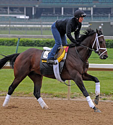 Rule Out of Kentucky Derby Picture Rule Out of Kentucky Derby Picture