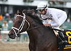 Rule Retired, to Stand at Vinery New York Rule Retired, to Stand at Vinery New York