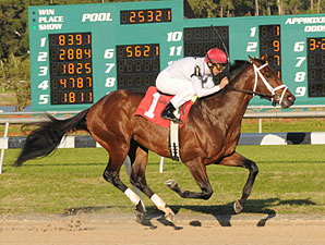 Rule Buries Rivals in Sam Davis Rule Buries Rivals in Sam Davis