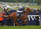 Galileo Dominates European Classics Galileo Dominates European Classics
