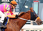 Ruler On Ice Posts Bullet Move for Donn