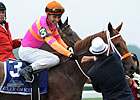 Haskin's Belmont Stakes Recap 2011