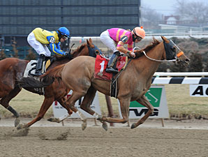 Ruler On Ice Among Those to Contest Excelsior Ruler On Ice Among Those to Contest Excelsior