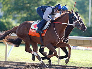 'Fire' and 'Ice' Confirmed for Haskell 'Fire' and 'Ice' Confirmed for Haskell