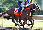 'Fire' and 'Ice' Confirmed for Haskell