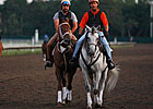 BC Classic Next for Ruler On Ice 