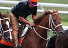 Pennsylvania Derby Attracts Big Names Pennsylvania Derby Attracts Big Names