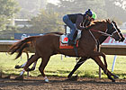 Shackleford, 'Ice' in Final Travers Works
