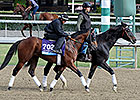 14 Pre-Entered for Delta Downs Jackpot 14 Pre-Entered for Delta Downs Jackpot