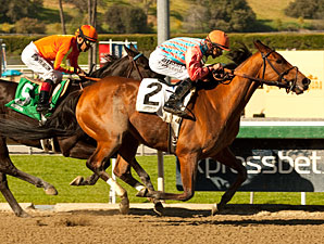 Rumor Runs True in Las Flores Surprise Rumor Runs True in Las Flores Surprise
