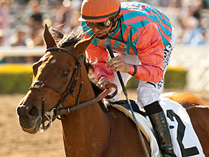 Rumor Seeks First Grade I in Humana Distaff Rumor Seeks First Grade I in Humana Distaff