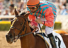 Rumor Seeks First Grade I in Humana Distaff
