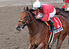 Run Away and Hide Takes Saratoga Special Run Away and Hide Takes Saratoga Special
