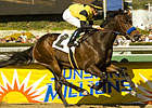 Runflatout Finds Better Spot in Laz Barrera Runflatout Finds Better Spot in Laz Barrera