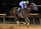 Popular Russell Road Gets 20th Career Victory Popular Russell Road Gets 20th Career Victory