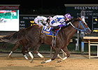 Russell Road Grabs Third WV Breeders' Classic Russell Road Grabs Third WV Breeders' Classic
