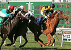 Pletcher Live in Both Woodbine 2YO Stakes