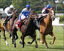 Rutherienne Heads Big Field in Lake George Rutherienne Heads Big Field in Lake George