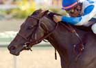 Rutherienne Faces Tough Test in Garden City