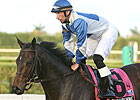 Calder Cancels Three Graded Stakes