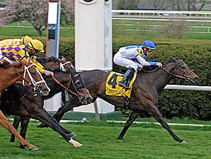 Rutherienne the One to Beat in Matchmaker Rutherienne the One to Beat in Matchmaker