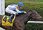 Rutherienne the One to Beat in Matchmaker Rutherienne the One to Beat in Matchmaker