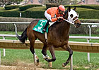 Ryan's for Real Bona Fide Hartack Winner