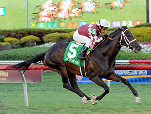 Contessa Mulls Options After Rydilluc Cruises Contessa Mulls Options After Rydilluc Cruises