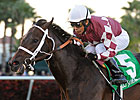 Keeneland Expects Full Gate for Blue Grass