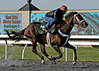 Blue Grass Contenders Tune Up in Kentucky