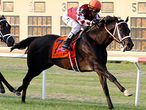 Rydilluc Shows Turf Prowess in Penn Mile Rydilluc Shows Turf Prowess in Penn Mile