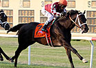 Rydilluc Shows Turf Prowess in Penn Mile Rydilluc Shows Turf Prowess in Penn Mile