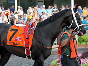 Rydilluc, Charming Kitten Rematch at Saratoga Rydilluc, Charming Kitten Rematch at Saratoga