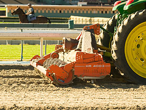 Santa Anita Cancels Racing Feb. 8 Santa Anita Cancels Racing Feb. 8