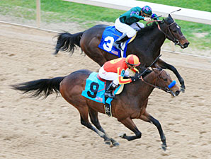 horse racing 