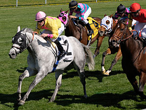 Silver Timber Looks to Axe Turf Sprint Silver Timber Looks to Axe Turf Sprint